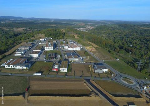 IKG Dammfeld, Bild rechte Seite von Birkenfeld kommend