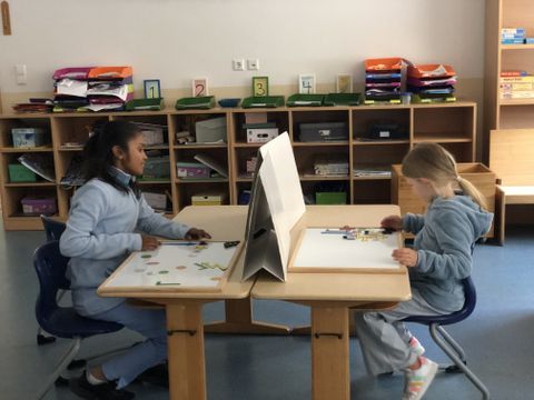 Projekttage