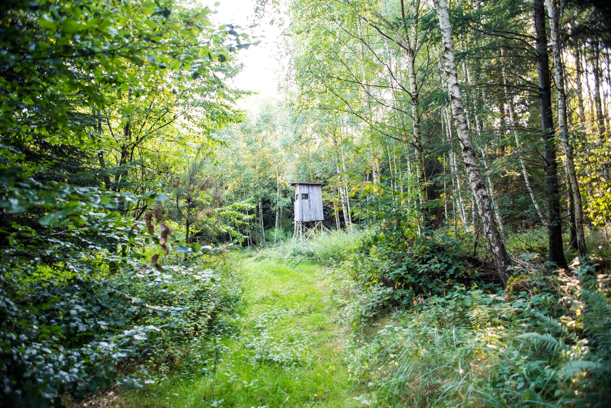 Walderlebnispfad Landschaft